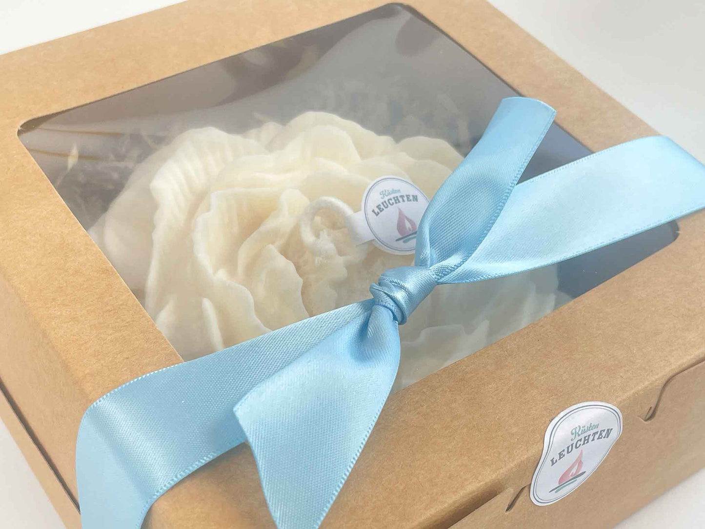 Pfingstrose groß in Geschenkverpackung