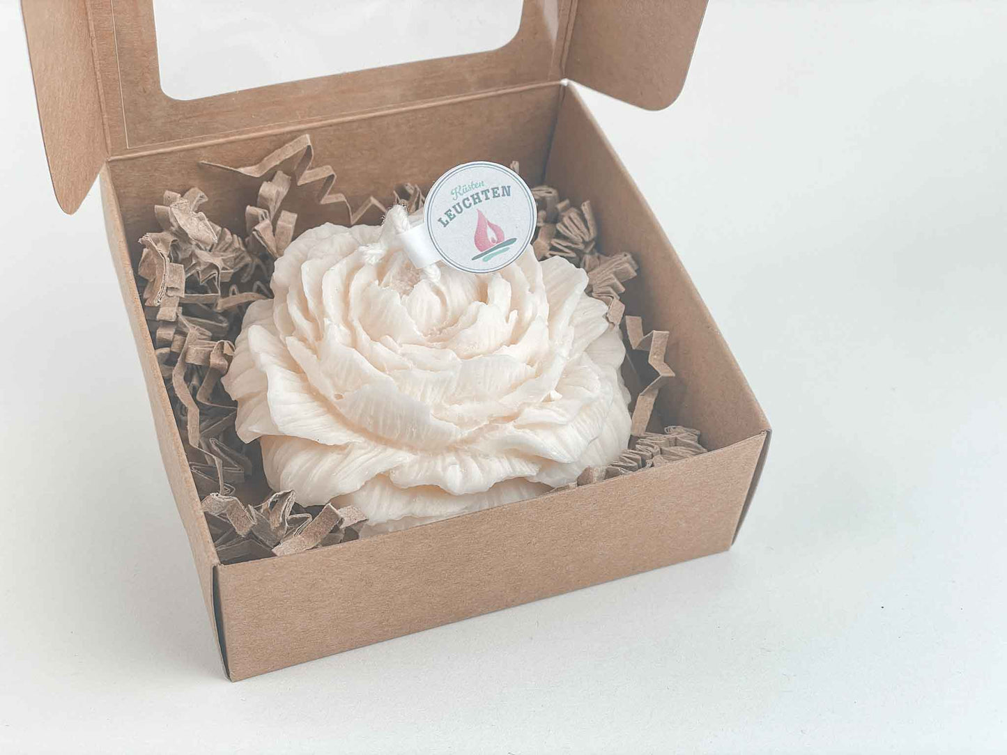 Pfingstrose klein in Geschenkverpackung