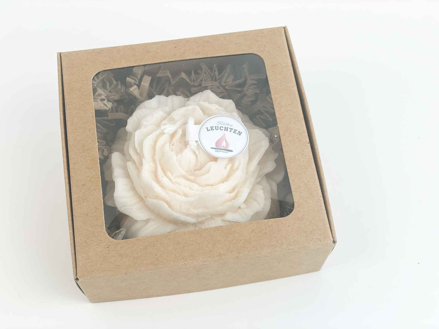 Pfingstrose klein in Geschenkverpackung