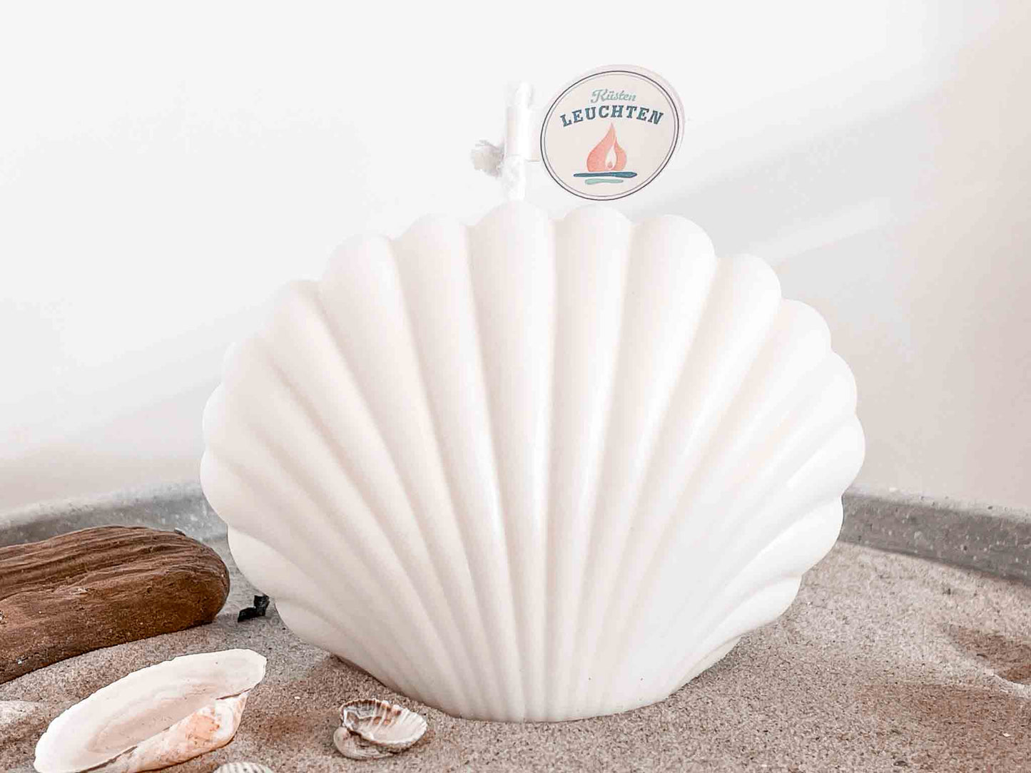 große Muschelerze auf Strandsand weißer Hintergrund