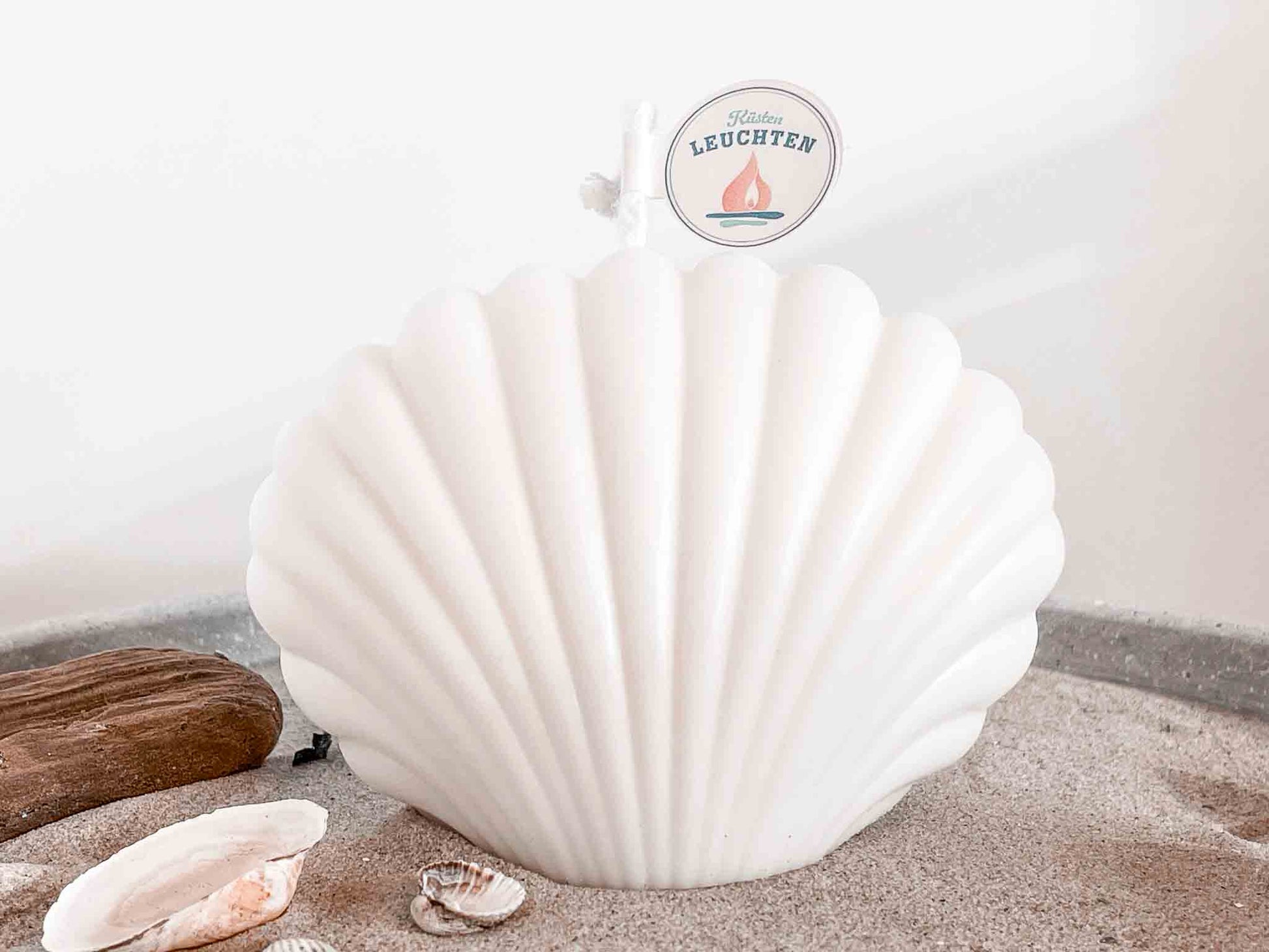 große Muschelerze auf Strandsand weißer Hintergrund