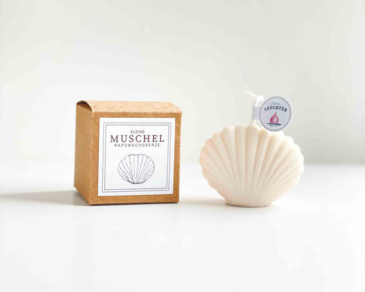 cremeweiße Muschel neben quadratischer braune Verpackung mit Label
