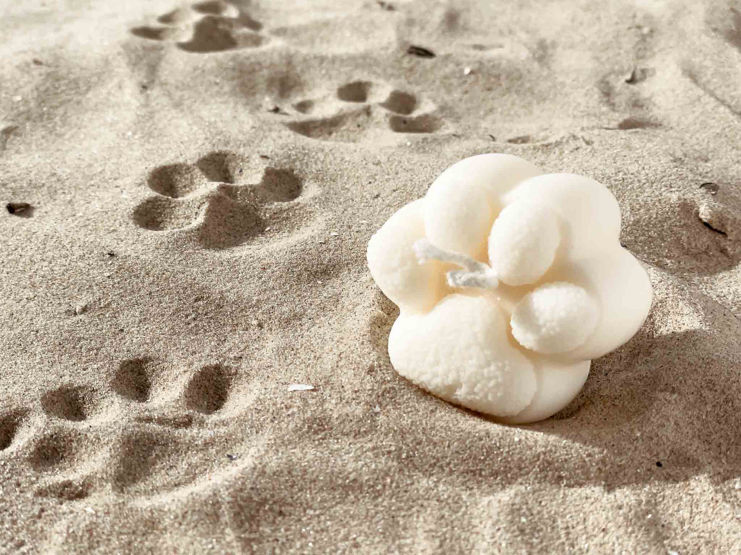 Tierfreunde-Kollektion