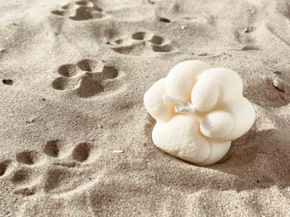 Pfötchenkerze in Geschenkverpackung