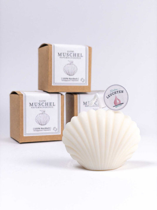 Muschelkerze klein