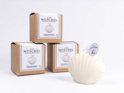 Muschelkerze klein