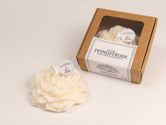 Pfingstrose aus Rapswachs